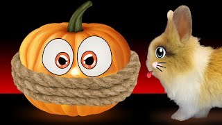 КРОЛИК БАФФИ И ЧЕЛЛЕНДЖ ХЕЛЛОУИН / ТЫКВА vs РЕЗИНКИ / КОТЕНОК МУРКА и challenge HALLOWEEN 2017