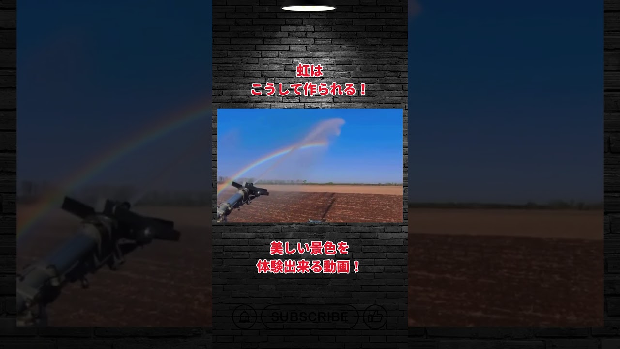 美しい虹が出来るまで😊 #人工虹, #作ってみた虹, #虹を作る, #科学実験, #光の不思議, #七色の魔法