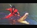 Dragon Ball The Magic Begins 1991 VHS Trailer
