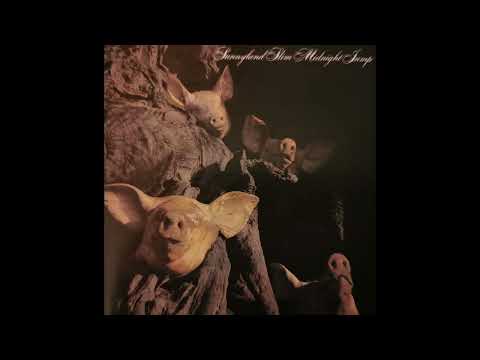 Sunnyland Slim -  Get To My Baby