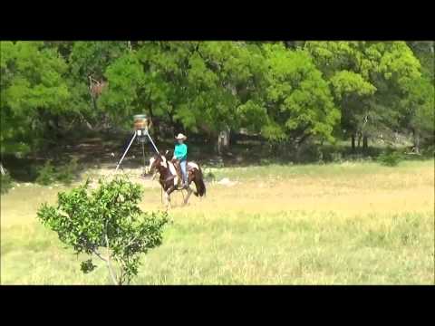 Navajo Moon De Renee**SOLD