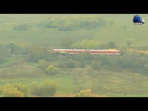 🏁Întrecere Feroviară/Rail Race🏁 Automotor Duewag BT628 DMU VS UAM215 035 in Boju - 06 November 2020
