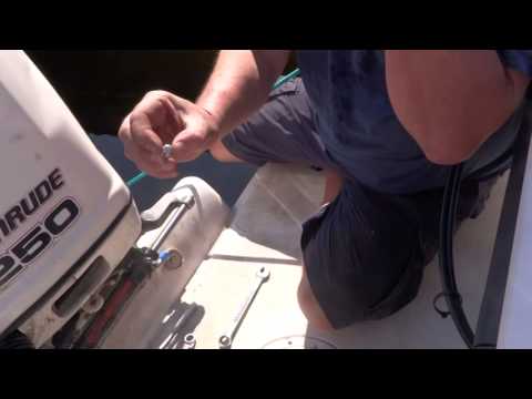 SeaStar Repair