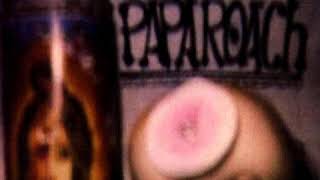 Papa Roach - 10. hedake