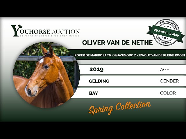 Oliver van de Nethe