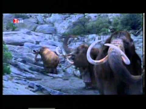 Ticon - We Are The Mammoth Hunters - The Videoclip