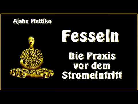 'Fesseln' - Die Praxis vor dem Stromeintritt - Ajahn Mettiko