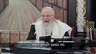 המלחמה בפלשתים בעזה - בונה את מלכות בית דוד | הרב שמואל אליהו | הלכה יומית | י״ד סיוון תשפ״ה (הרב שמואל אליהו) - התמונה מוצגת ישירות מתוך אתר האינטרנט יוטיוב. זכויות היוצרים בתמונה שייכות ליוצרה. קישור קרדיט למקור התוכן נמצא בתוך דף הסרטון