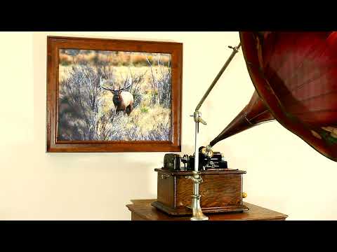 "Black Bottom - Charleston", Harold Stern's Hotel Belleclaire Orch, Edison Blue Amberol #5226