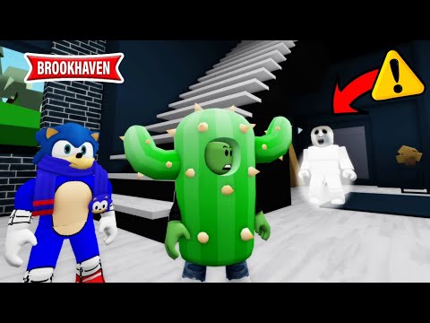 NE JAMAIS RENTRER DANS LA MAISON DE SLENDY ... ! BROOKHAVEN - ROBLOX