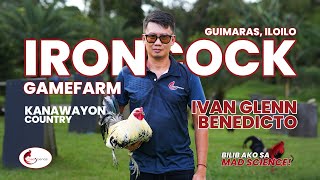 Download lagu KANAWAYON mp3