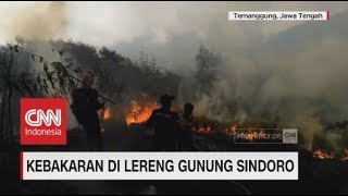 Download lagu Kawasan Lereng Gunung Sindoro Terbakar mp3