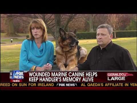 Fox News - Kimberly Guilfoyle Lex the K-9 11 28 10