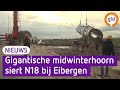 Enorme midwinterhoorn in Eibergen staat