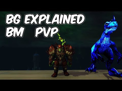 BG Explained - 8.0.1 Beast Mastery Hunter PvP - WoW BFA