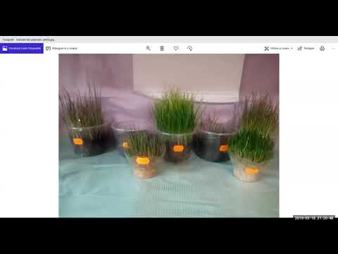 2019 03 18 AM Public Teaching in Spanish - Enseñanzas públicas en Español