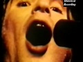 Creedence Clearwater Revial (CCR)  - Sweet Hitch Hicker Music Video