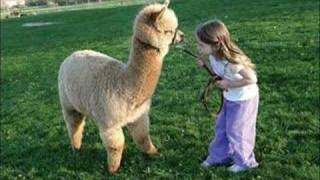 A Static lullaby- Hang &#39;Em High Demo