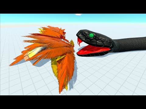 PHOENIX vs EVERY UNIT