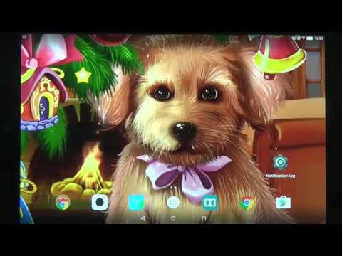 Christmas Puppy Live Wallpaper Video
