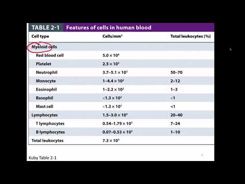 Immunology Fall 2019 Lecture 2- Cells and Organs of the Immune System