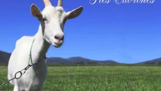 The Melvins - Tres Cabrones - Stump Farmer