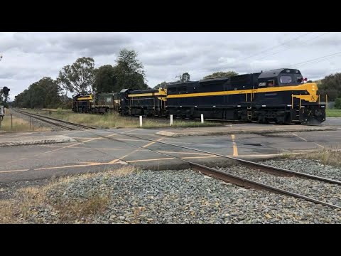 Southern Shorthaul Railroad P class transfer.