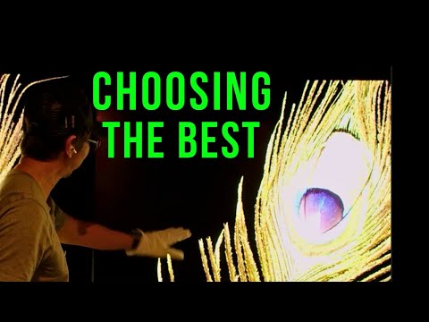 Best TV in 2024 Leader LG G4 🏆 Bang Up Job!