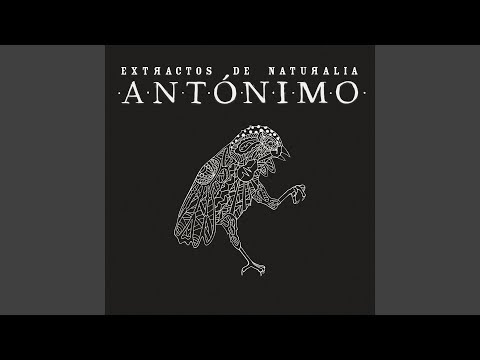 Camino de la Alameda