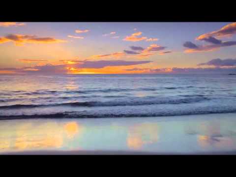 Sasha - Cut Me Down (Kastis Torrau & Donatello feat. Arnas D. Remix)