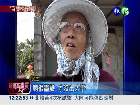 百年老樹枝幹斷裂 砸爛路旁轎車!