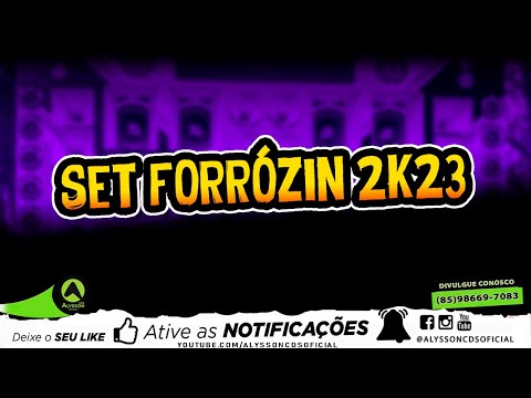 SET FORRÓZIN 2K23 - SELEÇÃO AS MELHORES - SÓ MÚSICAS DO TIK TOK - PRA PAREDÃO