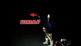 Ссылка