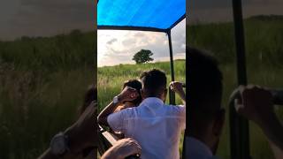 Jeep Safari in Chitwan National park🇳🇵
