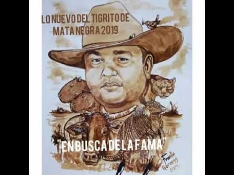 JESUS DANIEL QUINTERO " EL TIGRITO" LO NUEVO 2019" "EN BUSCA DE LA FAMA"
