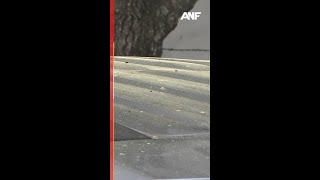 Atlanta tree pollen nearing peak, here's how to protect yourself