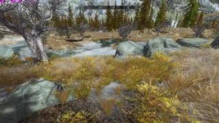 Skyrim Flora Overhaul - basic and regular