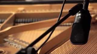 Video thumbnail for Neumann TLM 107 Multipattern LDC Microphone on Grand Piano by soundpurestudios