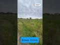 Видео превью