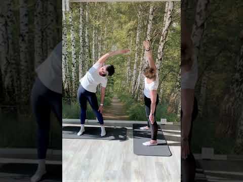 tri-dent VitalitätsOase Falkensee - Yoga Energiestellung 1A Dreieck