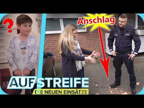 Attacke vom Balkon! 😱​ Ist der aggressive Ex oder der Nachbarsjunge schuld? | Auf Streife | SAT.1