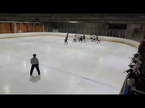 U14 AA / JYP valkoinen - JyKi tiikerit / 22.11.2020 klo 15:00 HH1