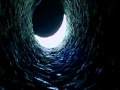 The Ring 2