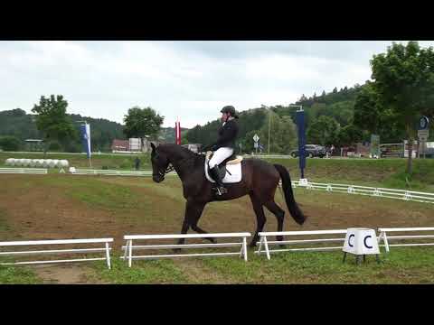 Sonja Kager - Henry K - V90 - Feldbach 2019