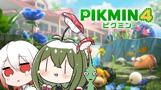 【ピクミン４】姉妹で協力プレイ！パート2【桜あおい】