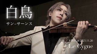 Download lagu サン=サーンス『白鳥』Saint-Saëns : The Swan (Le Cygne) LIVE at 2023.11.26【弓代星空】 mp3