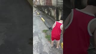 Download lagu Metik bunga kebelet pipis guys #balita #toddlers #bunga #taman #flowers #flower #kebelet #pipis mp3 Download lagu Metik bunga kebelet pipis guys #balita #toddlers #bunga #taman #flowers #flower #kebelet #pipis mp3