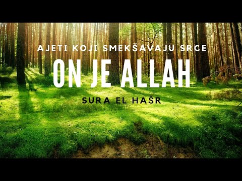 ON JE ALLAH | Ajeti koji smekšavaju srce ᴴᴰ | EMOTIVNO | Sura: El-Hašr