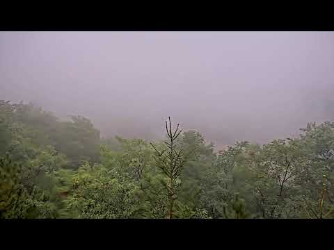 Caberfae Peaks webcam — South Peak