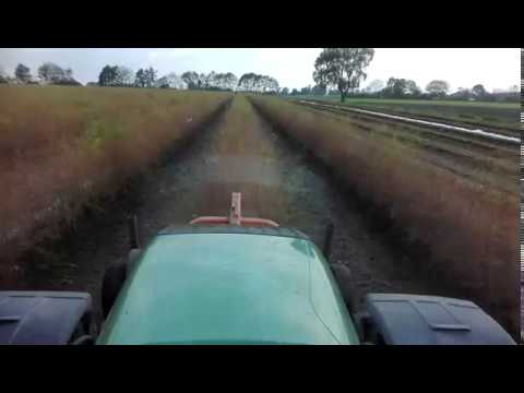 Koszenie szparaga 2017  Fendt 724